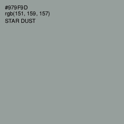 #979F9D - Star Dust Color Image